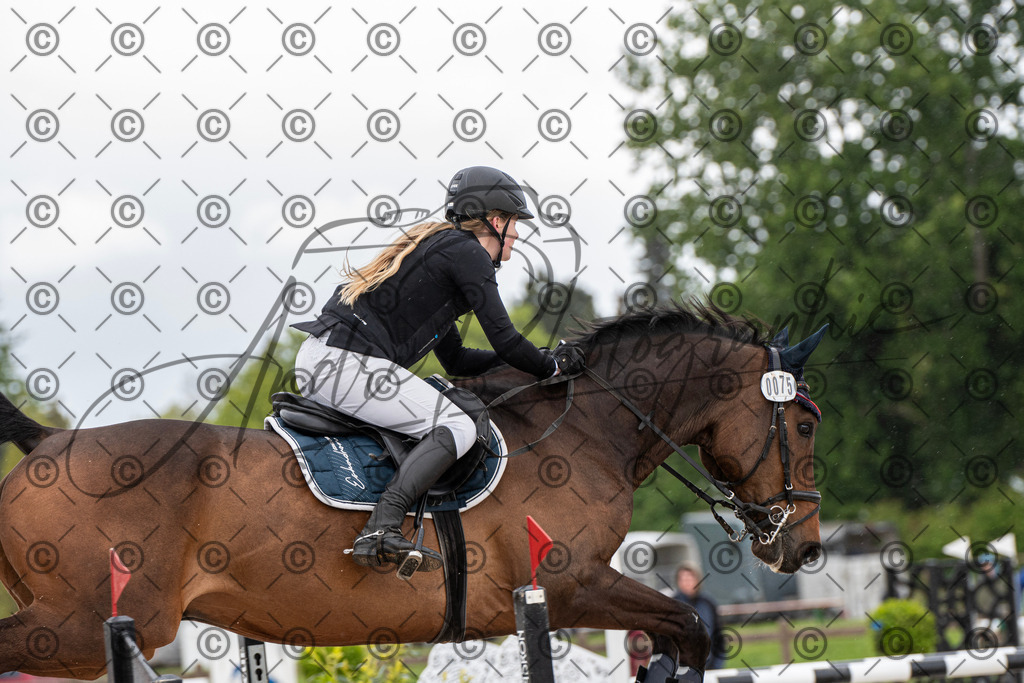 KPT_0120 | andre_photographic