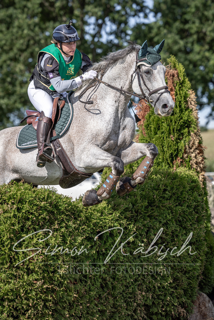 20250907-_3LI1718 | Tierfotografie Pferde, Hunde, Katzen, Haustiere.
Turnierfotografie Reitturniere, Reiten, Springreiten, Dressur in Hanau, dem Main-Kinzig-Kreis und dem Rhein-Main- Gebiet um Frankfurt