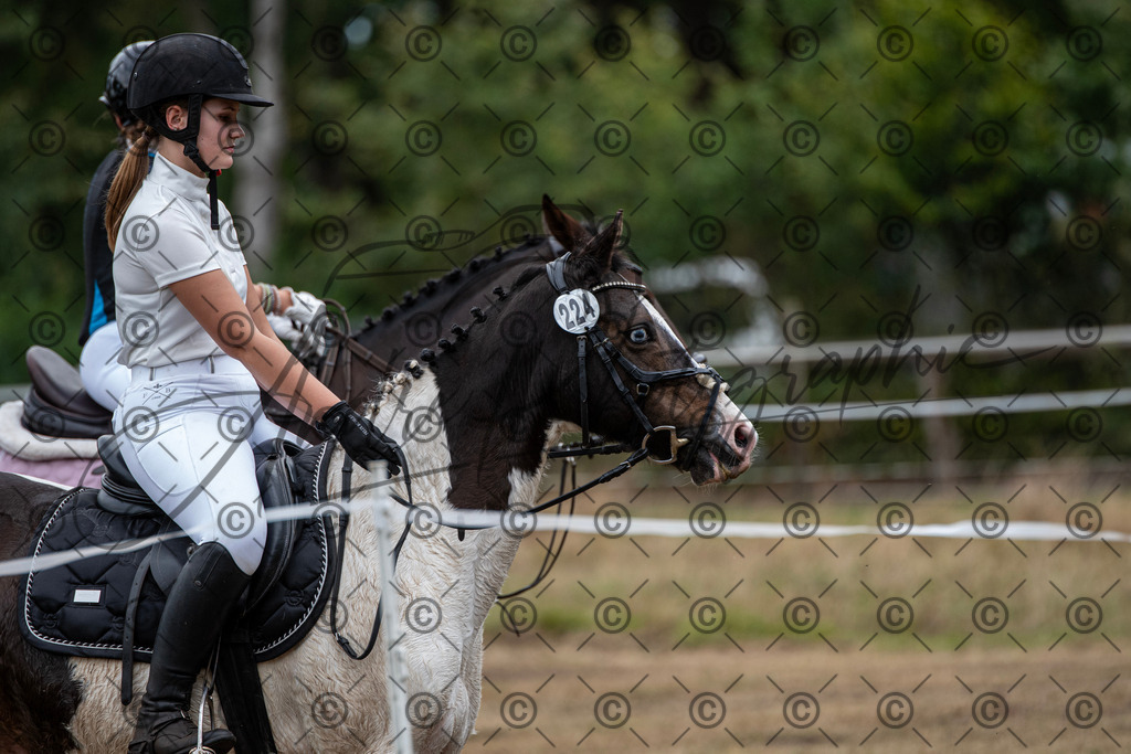 SHT_7666 | andre_photographic