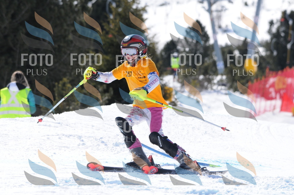 C8890 | holidayphoto