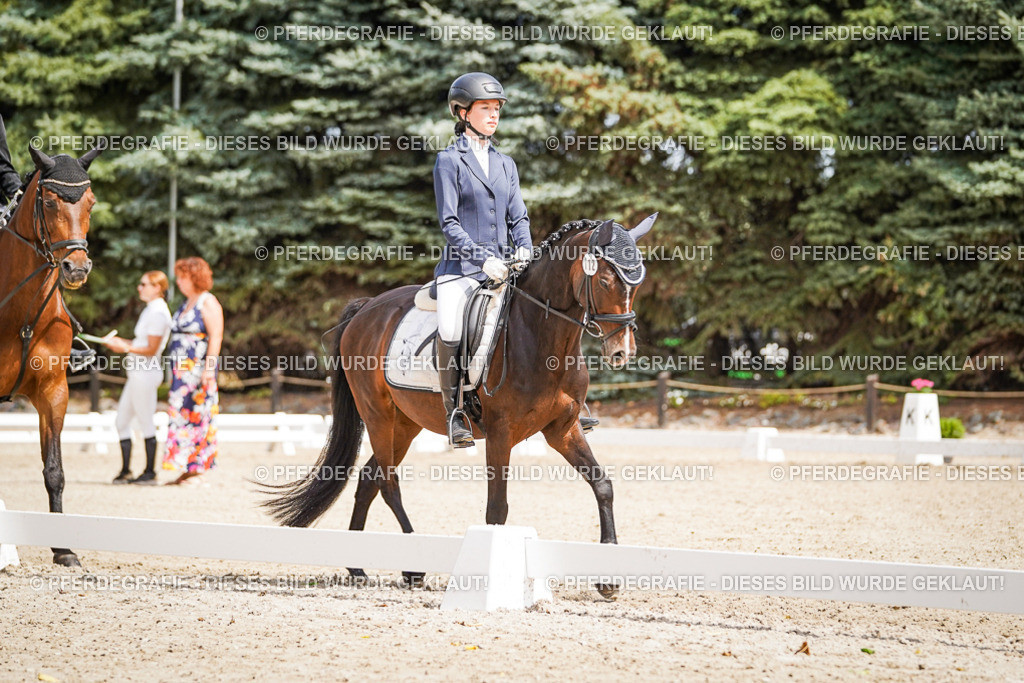 DSC02498 | Pferdegrafie