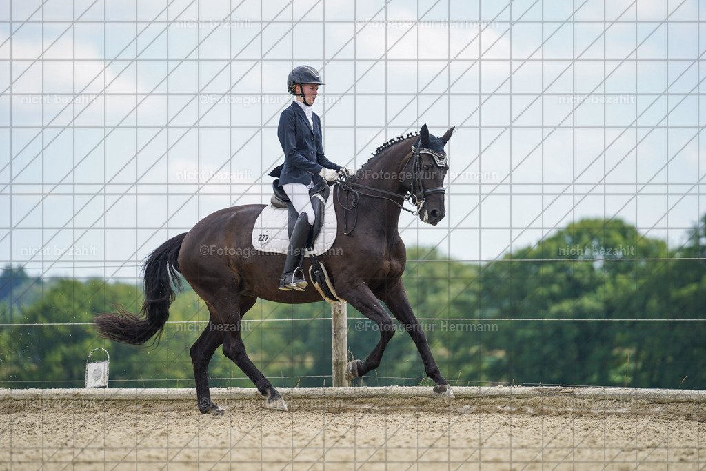 20230826-FAH05864 | Forstinning, 2023, Dressurturnier, Turniersportbilder, Turnierfotografen Bayern, Fotoagentur Herrmann, Reitsportfotografie, Turnierbilder