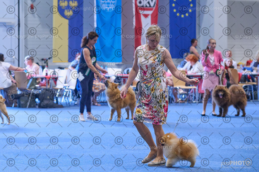 202406_ÖKV-IHA-Tulln24_DSC_3960 | proPHOTO - Realisiert mit Pictrs.com