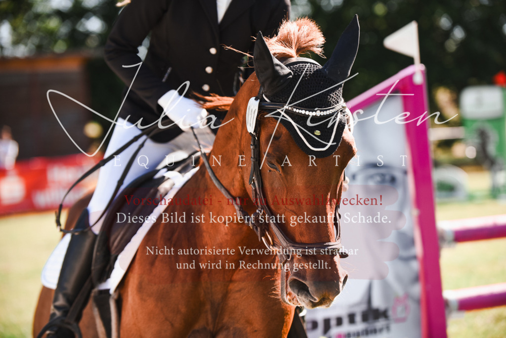 DSC_2457 | Pferde- und Turnierfotografie in Westsachsen. Pferdeportraits, Auftragszeichnungen und intuitive Kunst.