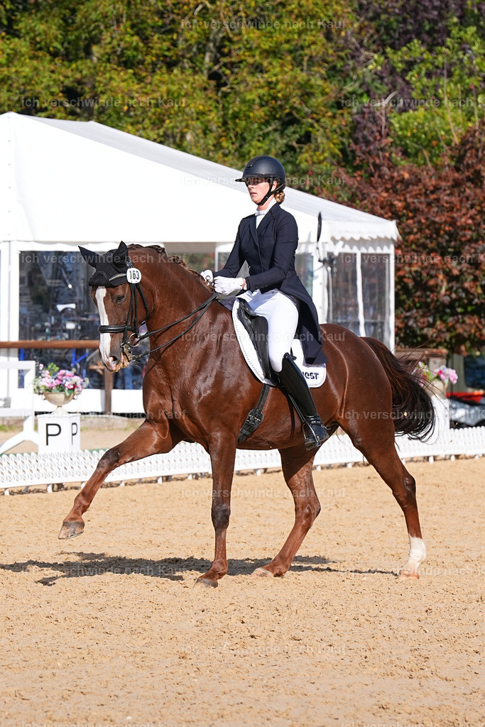 09_2-163-DRESSUR  S_  -Marixx-5935 | working equitationturnier fotograf videograf stoibphotography marixx film working equitation deutschland reitsport turnierfotografie eventfotografie equestrian events