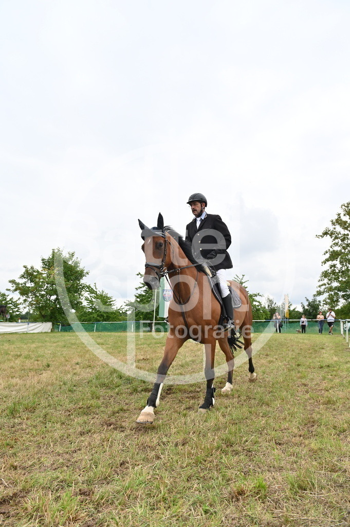 DSC_3214 | sattelsport - Realisiert mit Pictrs.com