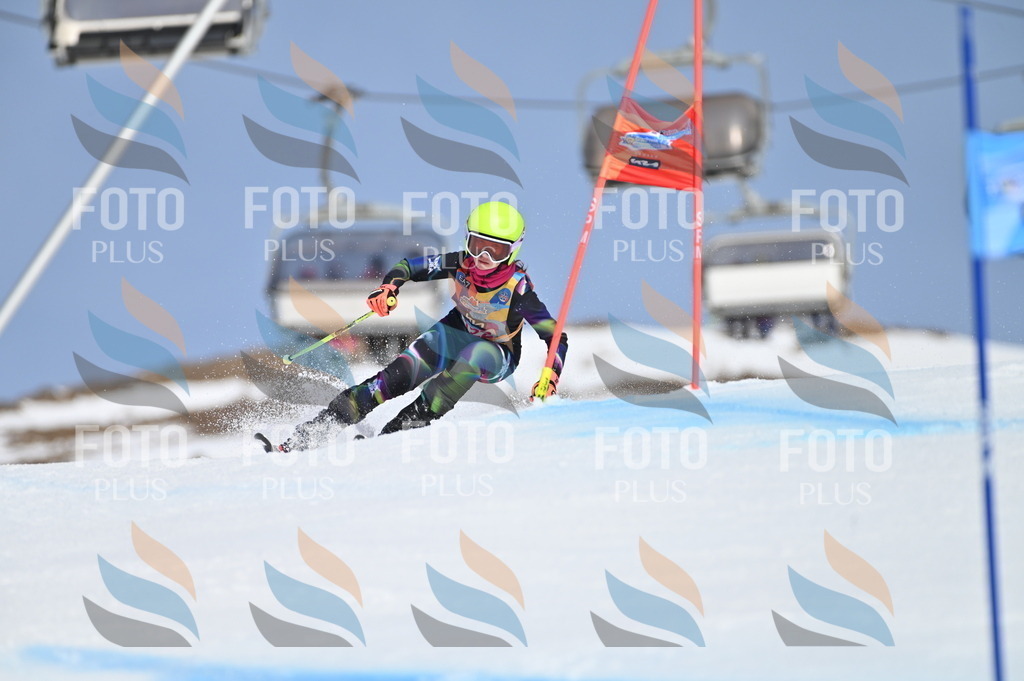 BGV_9833 | holidayphoto