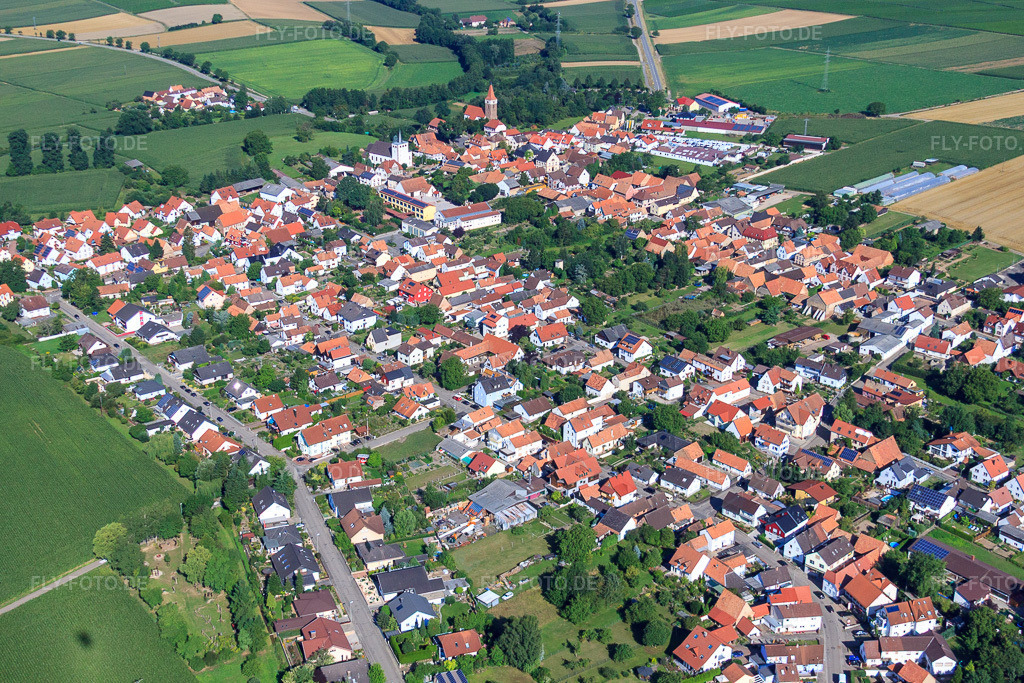 Luftbild: Dorfansicht von Südosten in Minfeld im Bundesland Rheinland-Pfalz in Deutschland. Foto: IMG_31159.jpg vom 07.08.2010 durch Werner Riehm/FLY-FOTO.de