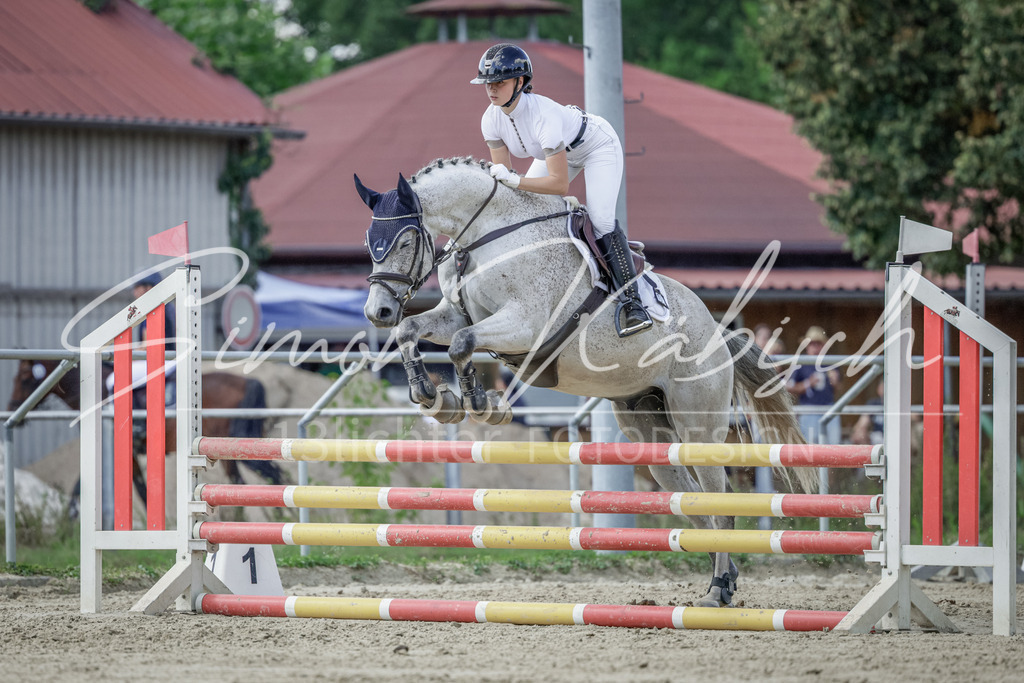 20250906-_3LI6291 | Tierfotografie Pferde, Hunde, Katzen, Haustiere.
Turnierfotografie Reitturniere, Reiten, Springreiten, Dressur in Hanau, dem Main-Kinzig-Kreis und dem Rhein-Main- Gebiet um Frankfurt