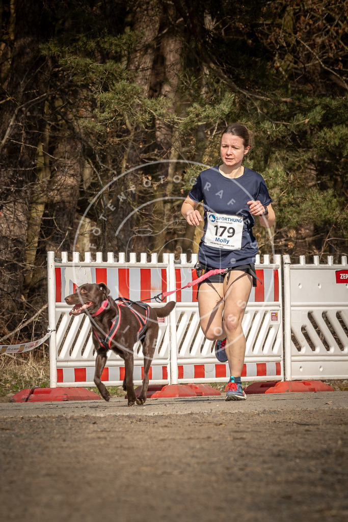 DV3A5686 | Hundefotografie, Tierfotograf, Pfotenfotografie, Fotoshooting Hund, Hunde Portrait, Hundesport, Hundeportraits, Heideshooting, Hunde, Sportfotograf, Hundefotograf, Turnierhundsport, THS,  - Realisiert mit Pictrs.com