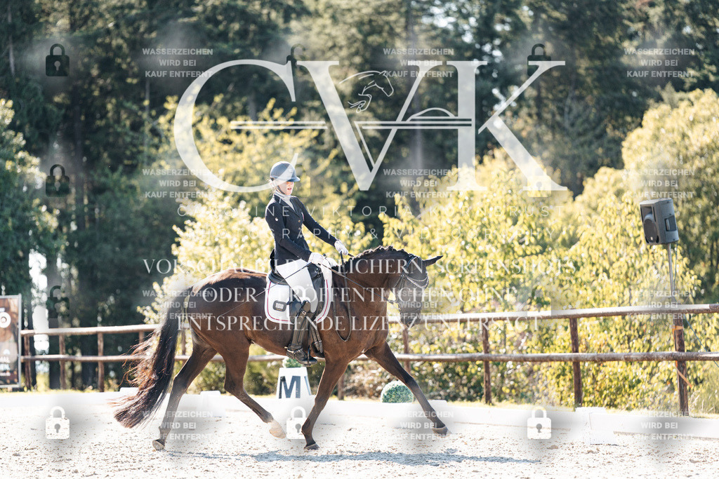 CK905538 | Turnierfotografie Pferdefotografie Trier Rheinland-Pfalz Pferdesport Reitsport Tierfotografie Sportfotografie Pferdevideo Pferdevideografie Equestrianvideography equestrianphotography  - Realisiert mit Pictrs.com