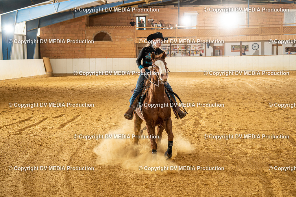 MIT00407 | dv-media-shop - Realisiert mit Pictrs.com