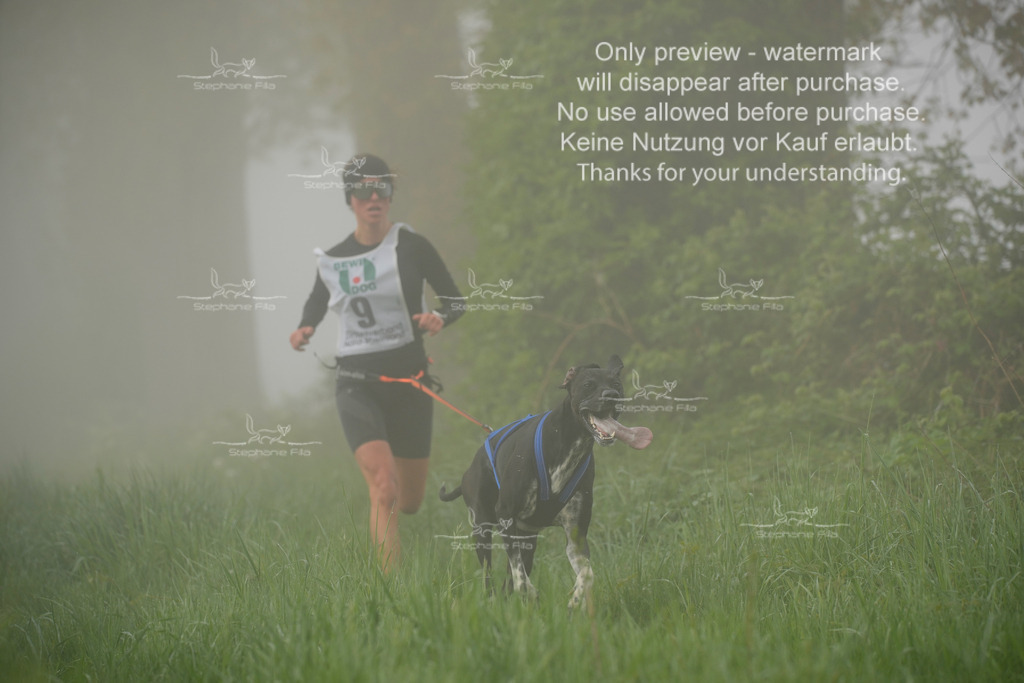 SA_GL2-50 | stephaniefillaphotographie - Realisiert mit Pictrs.com