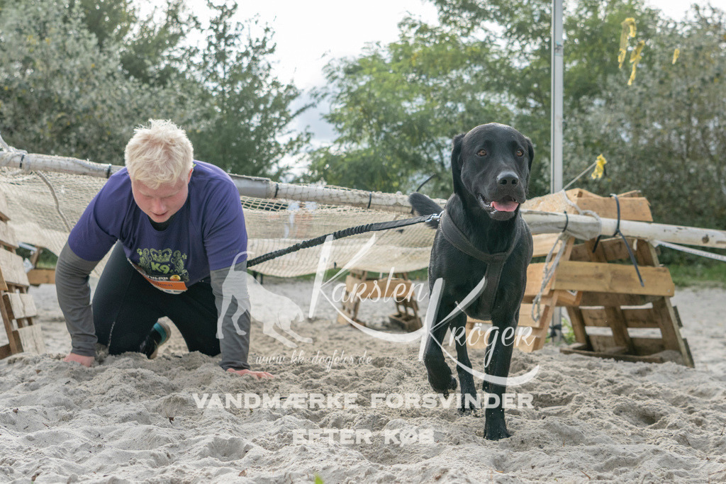 1144_ZZ98941 | kk-dogfotos