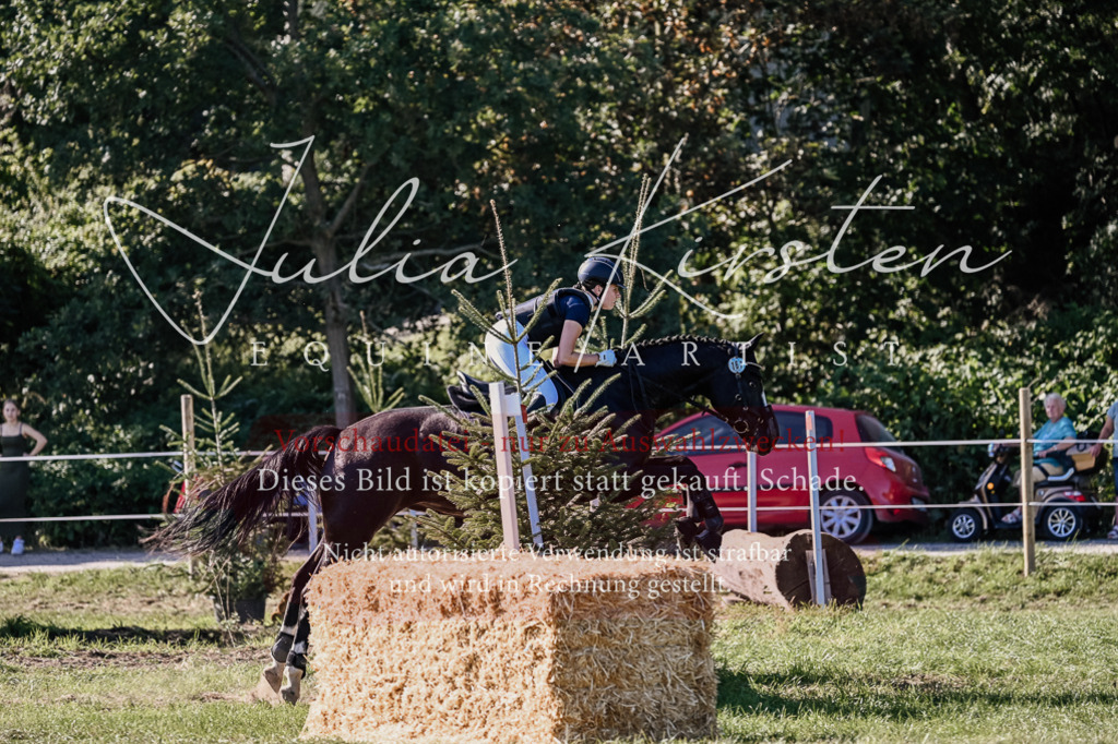 DSC_3553 | Pferde- und Turnierfotografie in Westsachsen. Pferdeportraits, Auftragszeichnungen und intuitive Kunst.