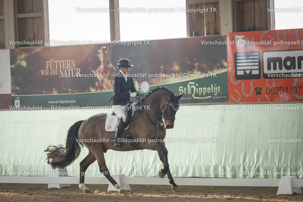 _D5A4037 | Emotionale Pferde- & People-Fotografie rund um Heidelberg, Leimen & Umgebung. Natürliche Fotos von Pferd, Mensch & Familie. Jetzt Termin sichern!