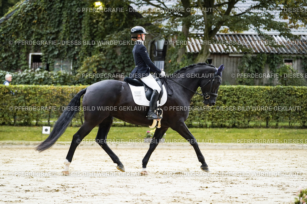 DSC06597 | Pferdegrafie