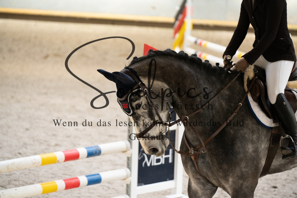 A7V01850 | Pferdefotograf