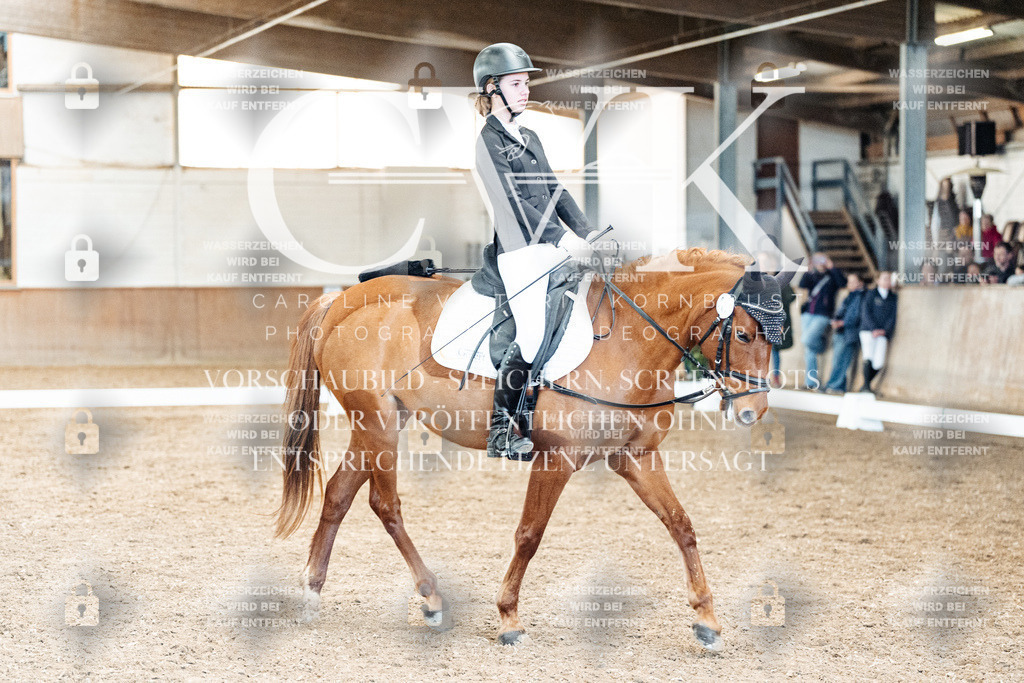 CK900629 | Turnierfotografie Pferdefotografie Trier Rheinland-Pfalz Pferdesport Reitsport Tierfotografie Sportfotografie Pferdevideo Pferdevideografie Equestrianvideography equestrianphotography  - Realisiert mit Pictrs.com