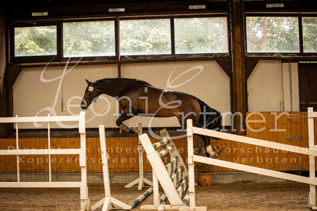 2FS_L00006 | Leoni Ertmer Photography - Realisiert mit Pictrs.com