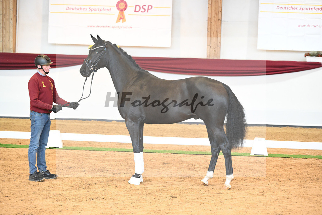 Kat-Nr. 51 v. Toto jr._Winklmaier_66220880 | hf-fotografie - Realisiert mit Pictrs.com