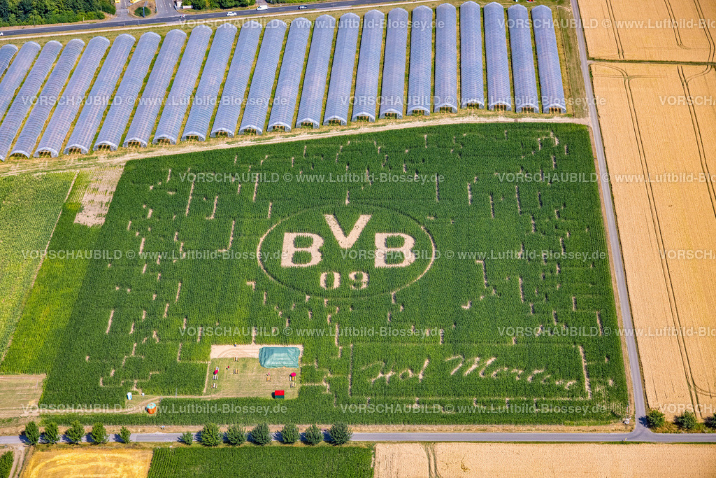 Dortmund220704107 | Luftbild, BVB Logo im Feld, Hof Mertin, Hostedde, Dortmund, Ruhrgebiet, Nordrhein-Westfalen, Deutschland