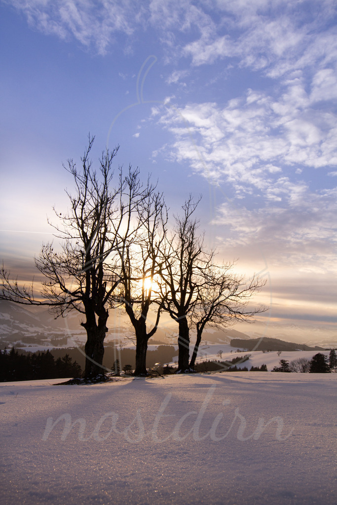 Winterausblick Franzenreith | Bei Veröffentlichung des Bildes ist eine Namensnennung wie folgt erforderlich: 
Foto: Mostdirn Irmgard Wieser - Realisiert mit Pictrs.com