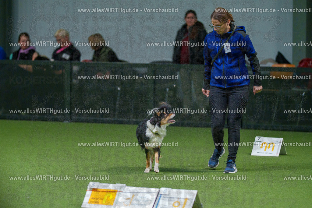 7R508155 | Professionelle Tierfotografie in Mönchengladbach von Daniel Wirth (allesWIRTHgut). Liebevolle & natürliche Bilder von Hunden & Katzen für unvergessliche Erinnerungen.