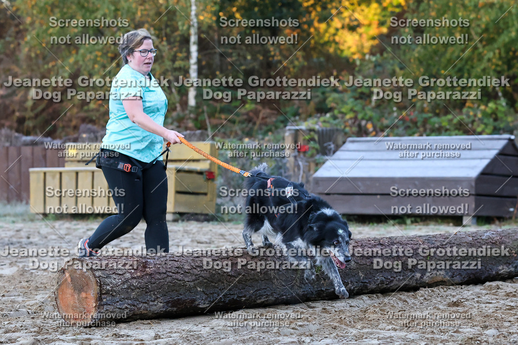 Dog Paparazzi - Strongdog 10-25-226 | Dog Paparazzi Jeanette Grottendiek Fotografie & Videografie - Realisiert mit Pictrs.com