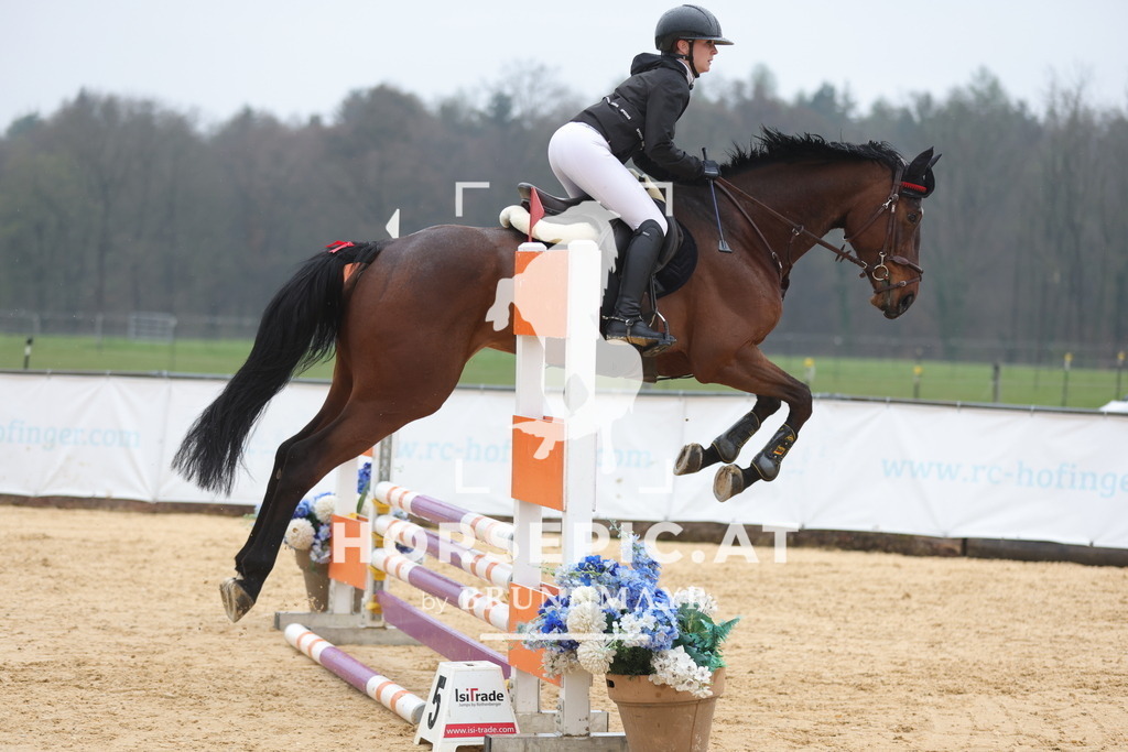 0P6A7400 | Willkommen bei Brunnmayr - Design & Fotografie – Ihrem Spezialisten für Reitturniere und Pferdeveranstaltungen in Oberösterreich, Salzburg und Bayern! Seit über 17 Jahren sind wir leidenschaftlich dabei.
