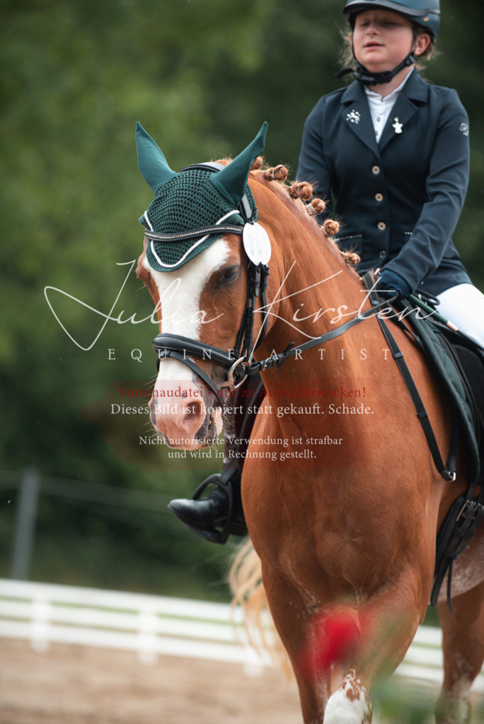 DSC_9635 | Pferde- und Turnierfotografie in Westsachsen. Pferdeportraits, Auftragszeichnungen und intuitive Kunst.