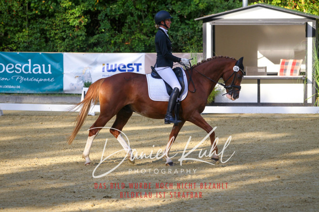 DKP41116 | Turniersportfotografie; Pferdefotografie; Dressurfotografie