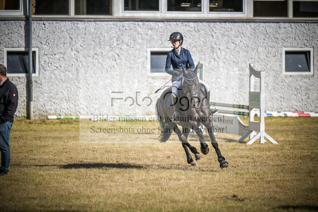 DOS_1471 | Entdecke hochwertige Reitturnierfotos von Foto Oger. Professionell, emotional und authentisch – jetzt Lieblingsmomente im Shop bestellen.Deutschlandweite Turnierfotografie. - Realisiert mit Pictrs.com