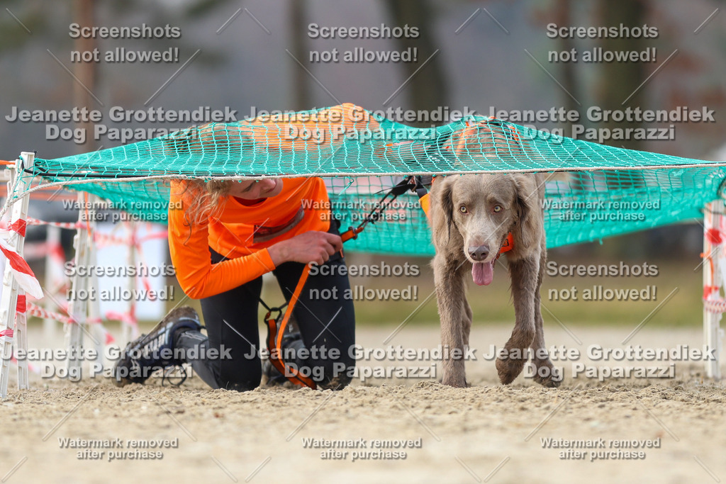 Dog Paparazzi - Strongdog North Mrz26-4245 | Dog Paparazzi Jeanette Grottendiek Fotografie & Videografie - Realisiert mit Pictrs.com