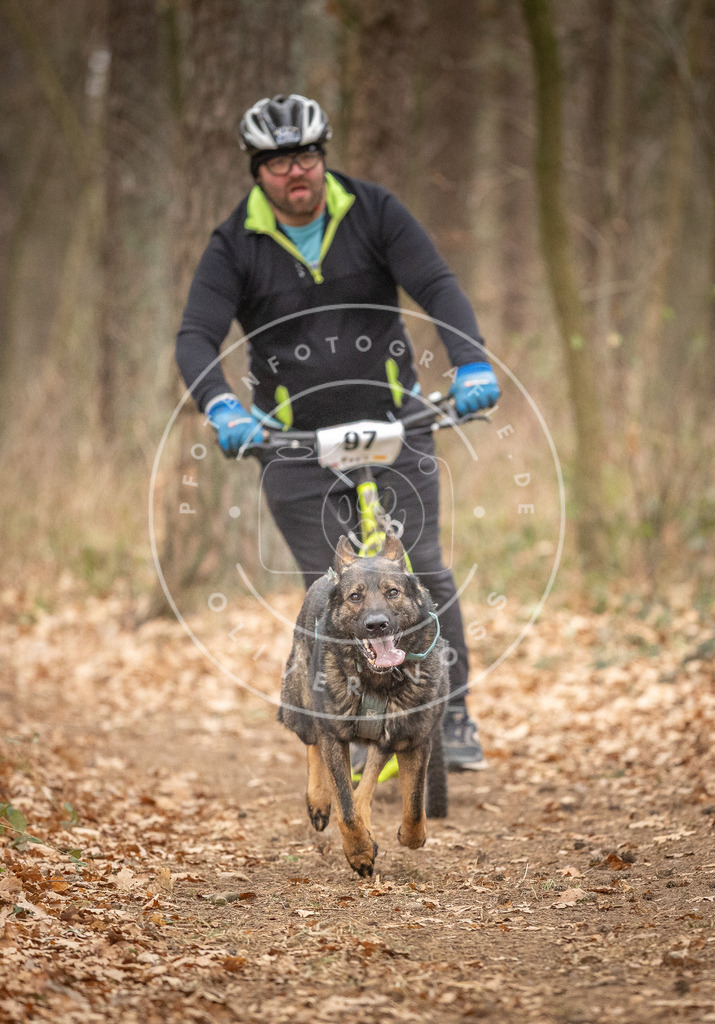 Pfotenfotografie_DV3A7392 | Hundefotografie, Tierfotograf, Pfotenfotografie, Fotoshooting Hund, Hunde Portrait, Hundesport, Hundeportraits, Heideshooting, Hunde, Sportfotograf, Hundefotograf, Turnierhundsport, THS,  - Realisiert mit Pictrs.com