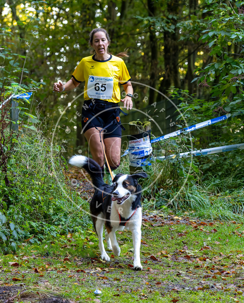 Pfotenfotografie_DV3A7248 | Hundefotografie, Tierfotograf, Pfotenfotografie, Fotoshooting Hund, Hunde Portrait, Hundesport, Hundeportraits, Heideshooting, Hunde, Sportfotograf, Hundefotograf, Turnierhundsport, THS,  - Realisiert mit Pictrs.com