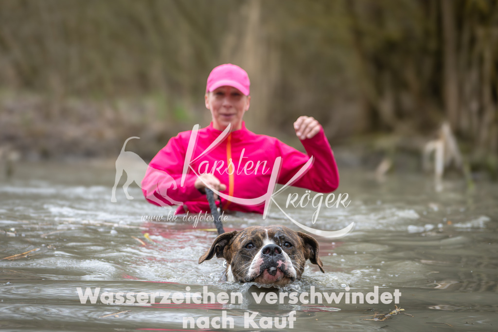 1027_ZZ99898 | kk-dogfotos