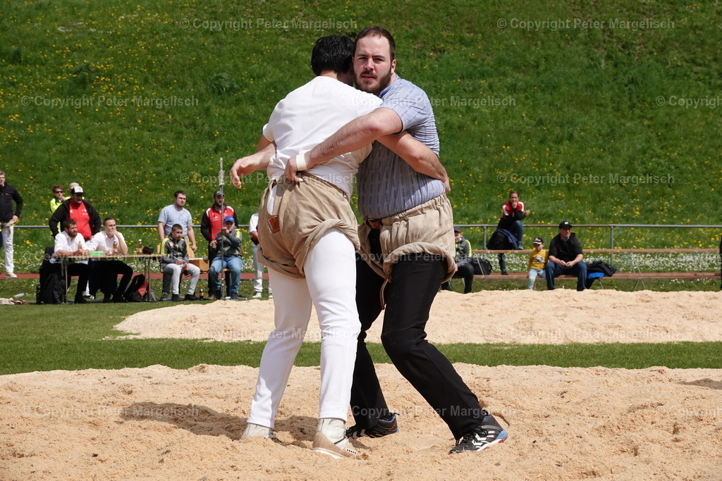 DSC03125 | Schwingen - Realisiert mit Pictrs.com