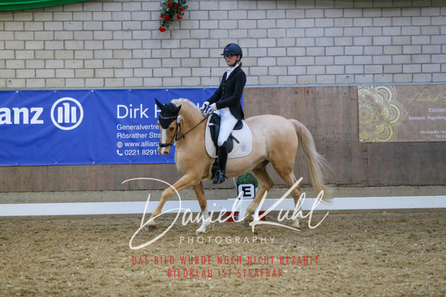 IMG_2770 | Turnierfotos kaufen im Webshop von Daniel Kuhl Photography – entdecke professionelle Reitsportfotos aus Turnieren & Events. Hochwertige Turnierbilder online bestellen & sichern. Jetzt Fotos von Reitsportturnieren kaufen!