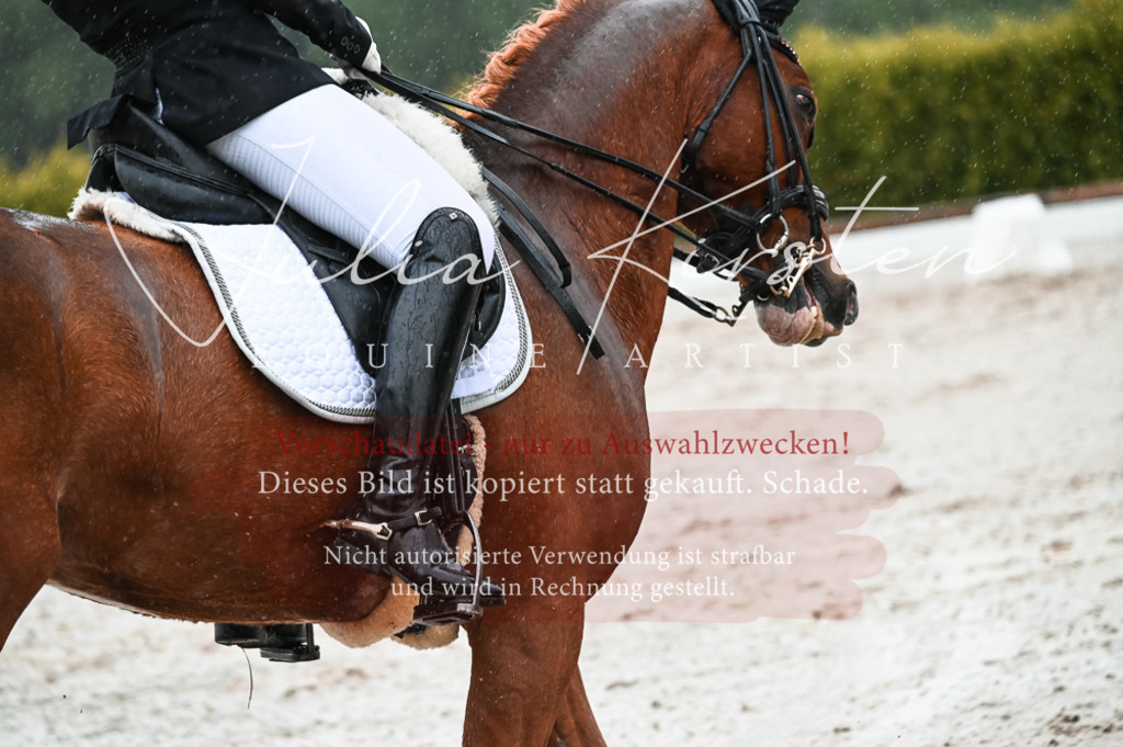 DSC_4637 | Pferde- und Turnierfotografie in Westsachsen. Pferdeportraits, Auftragszeichnungen und intuitive Kunst.