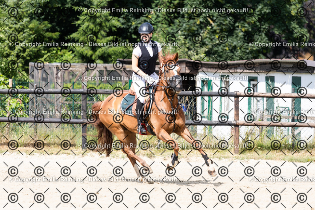 CL5A6653 | Emilia Reinking Fotografie - Realisiert mit Pictrs.com