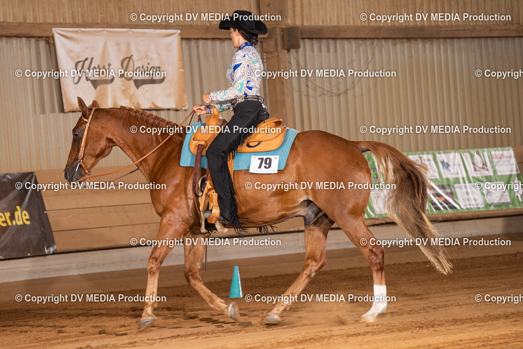 NID00376 | dv-media-shop - Realisiert mit Pictrs.com