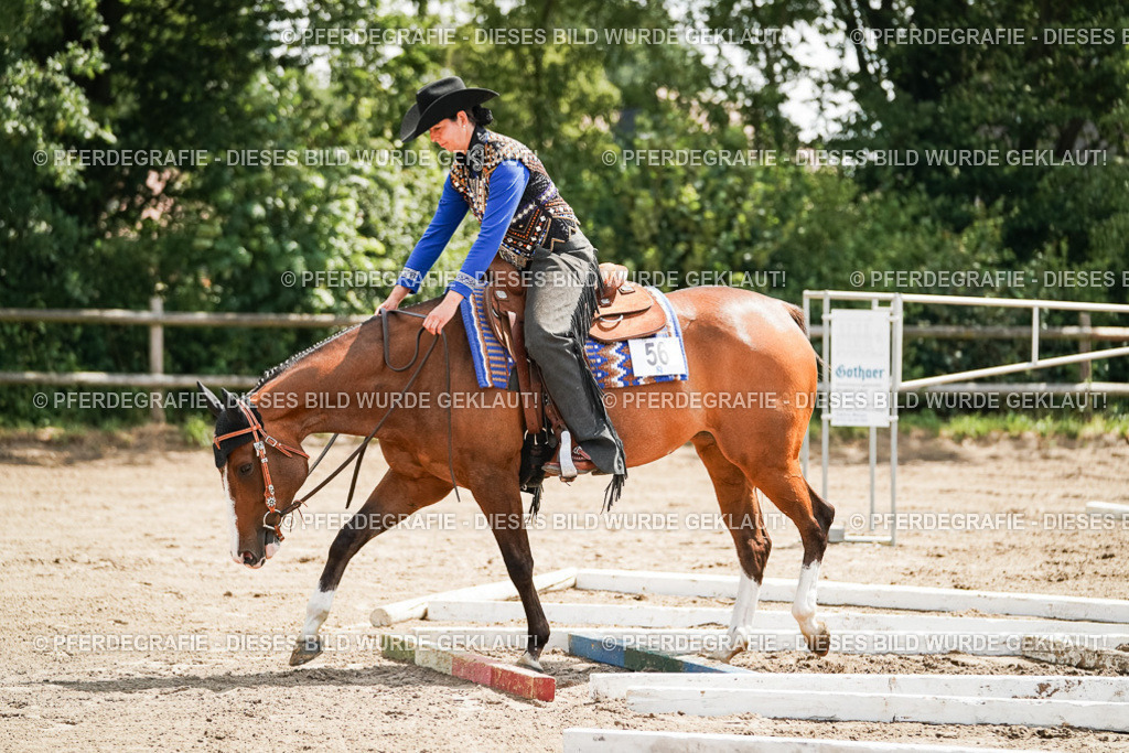 DSC06130 | Pferdegrafie