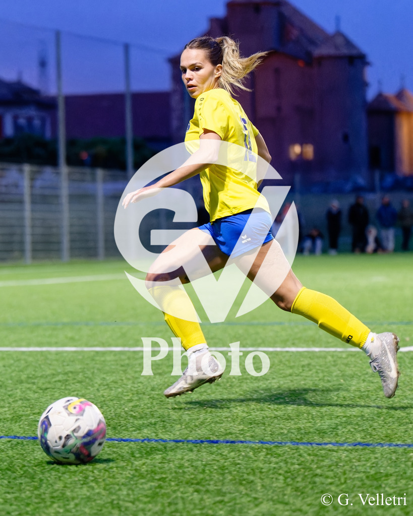 DSC_0635 | Velletri Photo