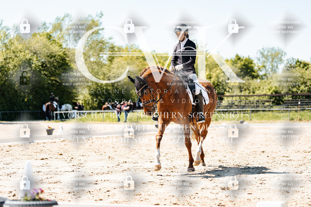 CK905965 | Turnierfotografie Pferdefotografie Trier Rheinland-Pfalz Pferdesport Reitsport Tierfotografie Sportfotografie Pferdevideo Pferdevideografie Equestrianvideography equestrianphotography  - Realisiert mit Pictrs.com