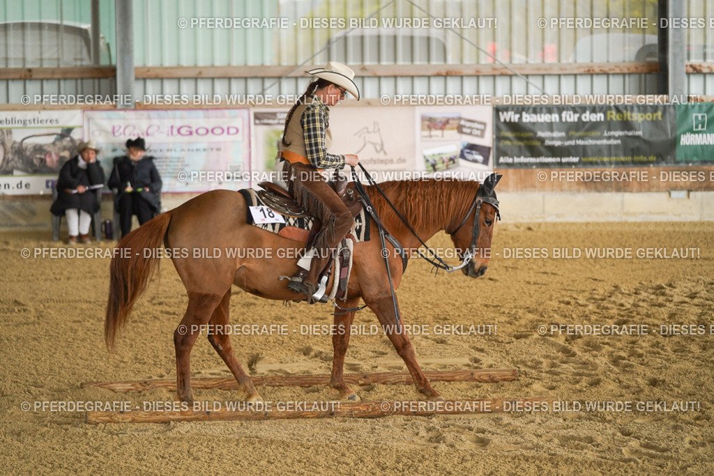 DSC03812 | Pferdegrafie