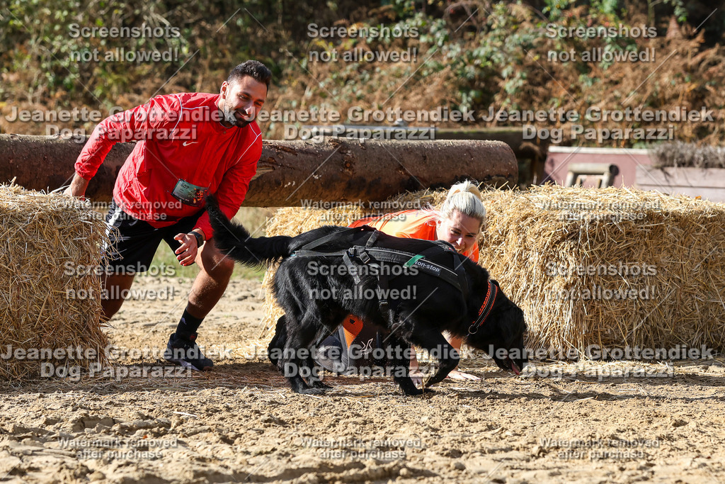 Dog Paparazzi - Strongdog 10-25-4957 | Dog Paparazzi Jeanette Grottendiek Fotografie & Videografie - Realisiert mit Pictrs.com