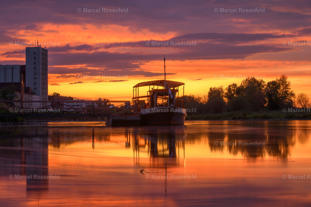 _DSC1318 | foto-rosenfeld