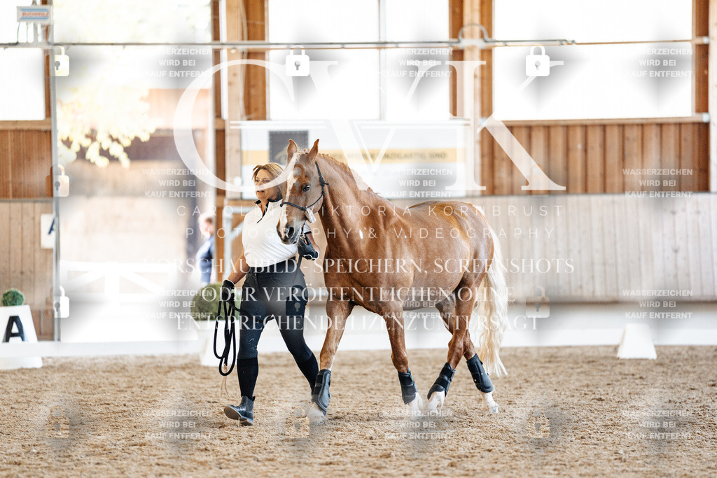 CK906568 | Turnierfotografie Pferdefotografie Trier Rheinland-Pfalz Pferdesport Reitsport Tierfotografie Sportfotografie Pferdevideo Pferdevideografie Equestrianvideography equestrianphotography  - Realisiert mit Pictrs.com