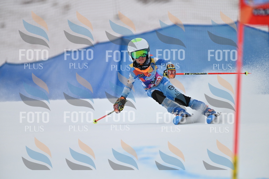 BGV_1529 | holidayphoto